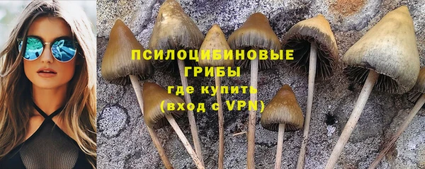 марки lsd Алексеевка