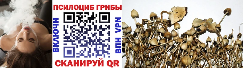 Псилоцибиновые грибы MAGIC MUSHROOMS  продажа наркотиков  Кремёнки 